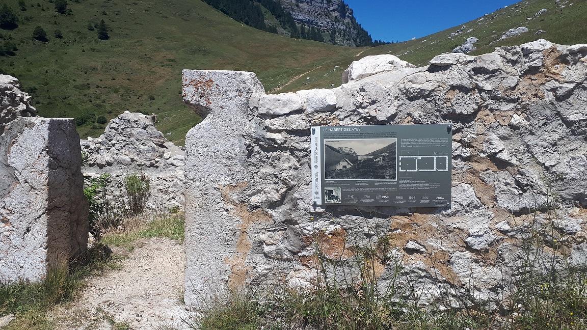 Habert des ayes ens col du coq